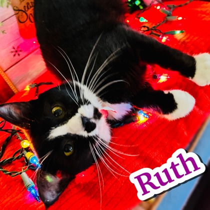 Photo of Ruth