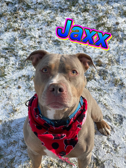 Photo of Jaxx