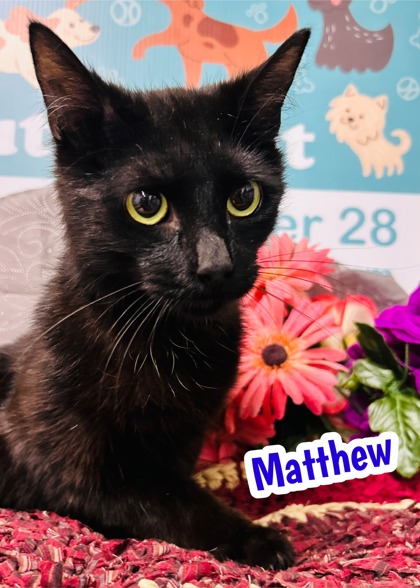 Photo of Matthew