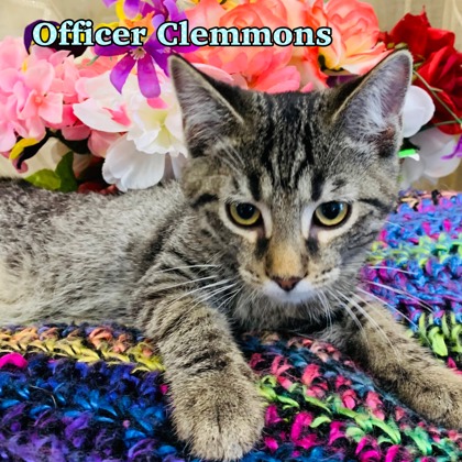 Photo of Officer Clemmons