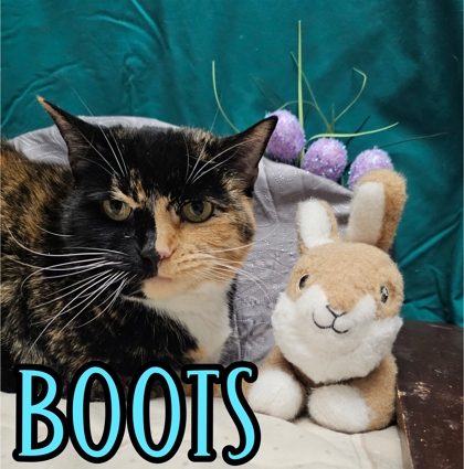 Photo of Boots