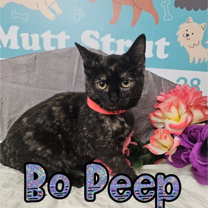 Photo of Bo Peep