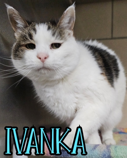 Photo of Ivanka