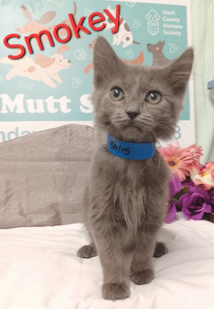 Photo of Smokey