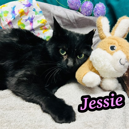 Photo of Jessie