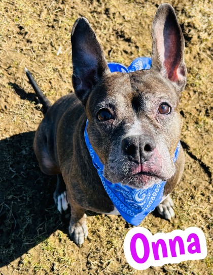Photo of Onna