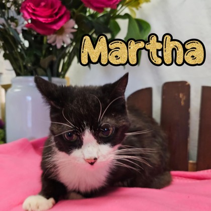 Photo of Martha