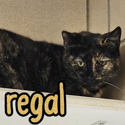 Photo of Regal