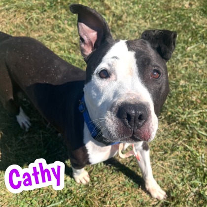 Photo of Cathy
