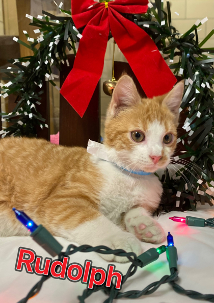 Photo of Rudolph