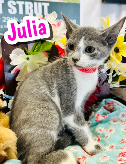 Photo of Julia