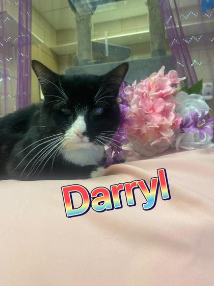 Photo of Darryl