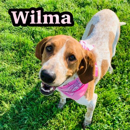 Photo of Wilma