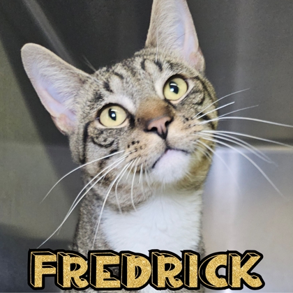 Photo of Fredrick