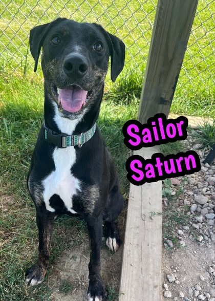 Photo of Sailor Saturn