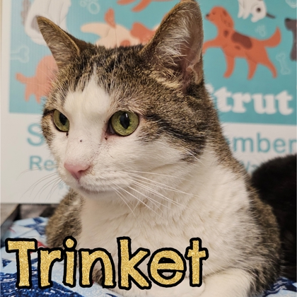 Photo of Trinket