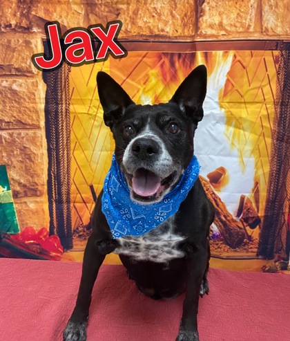 Photo of Jax