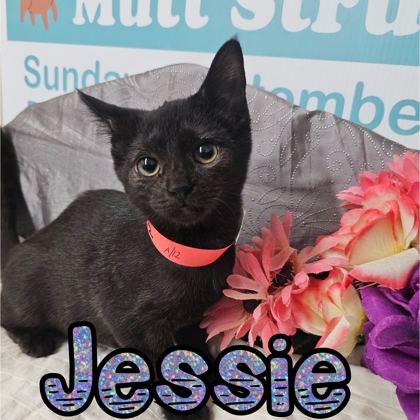 Photo of Jessie