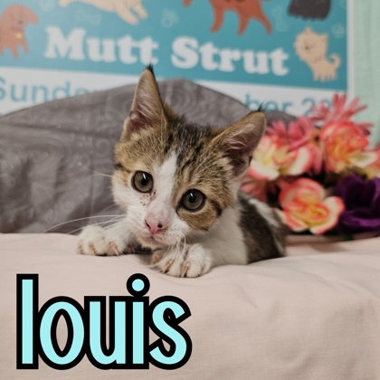 Photo of Louis
