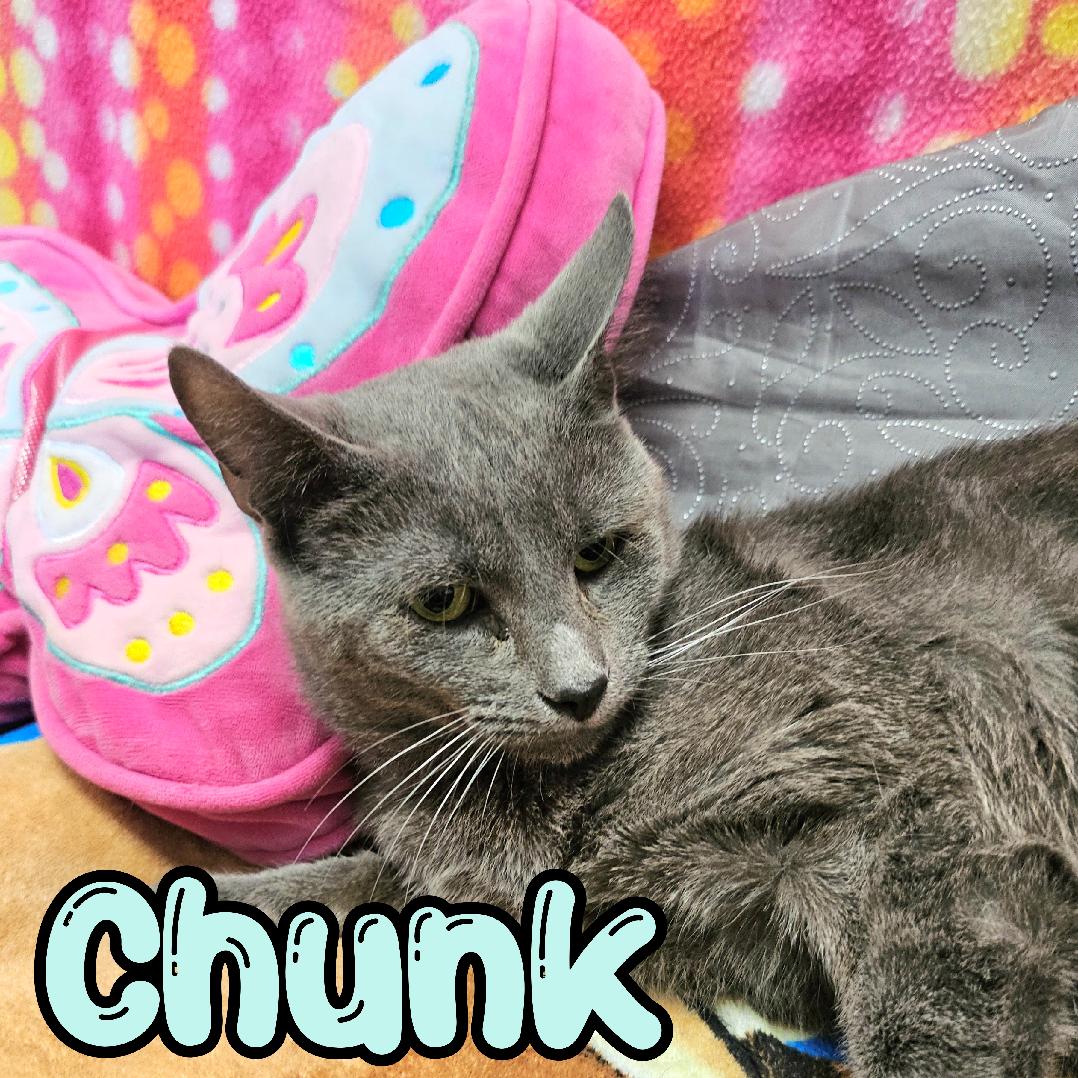 Photo of Chunk