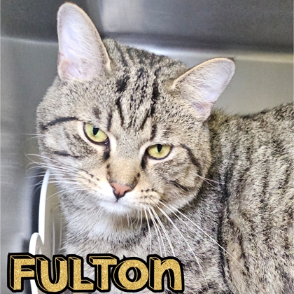 Photo of Fulton