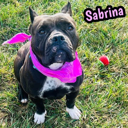 Photo of Sabrina