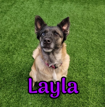 Photo of Layla