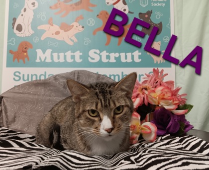 Photo of Bella