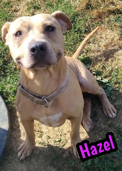 Photo of Hazel