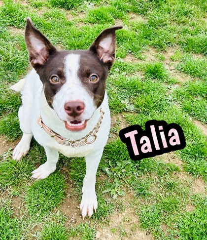 Photo of Talia