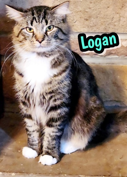 Photo of Logan