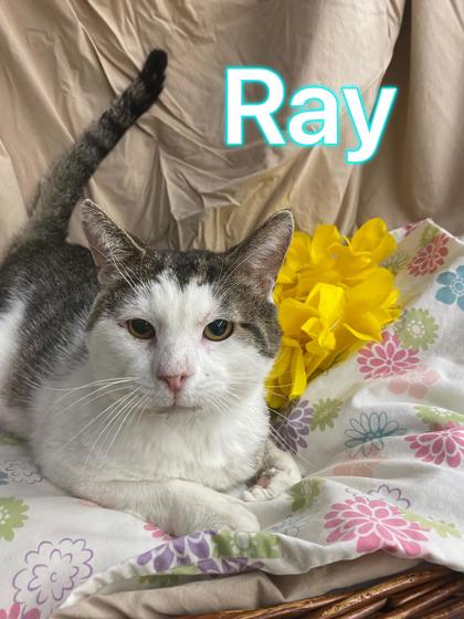 Photo of Ray