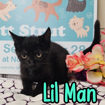 Photo of Lil Man