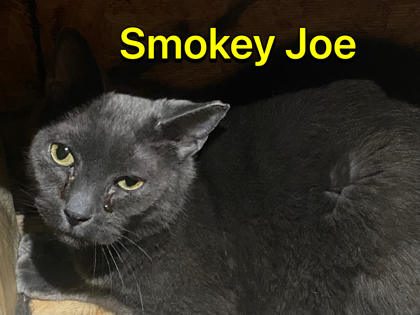 Photo of Smokey Joe