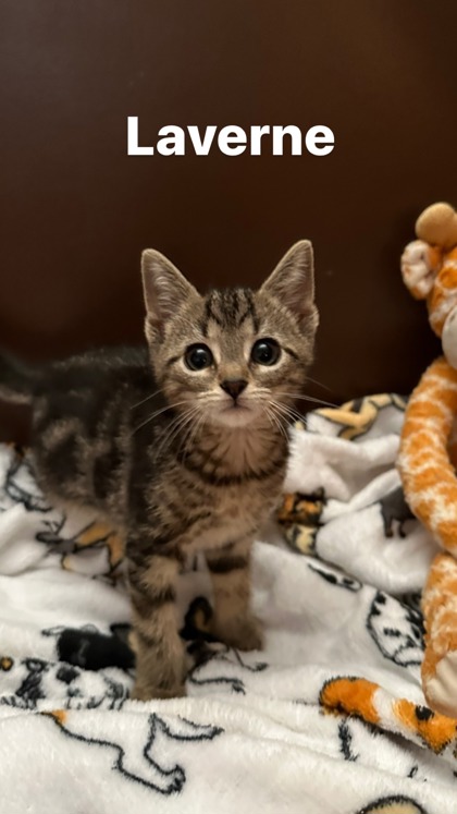 Photo of Laverne