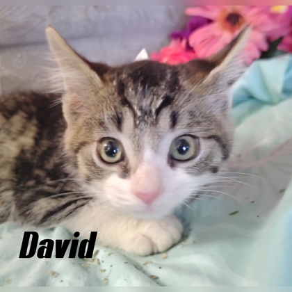 Photo of David