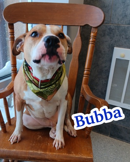 Photo of Bubba