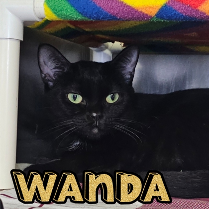 Photo of Wanda