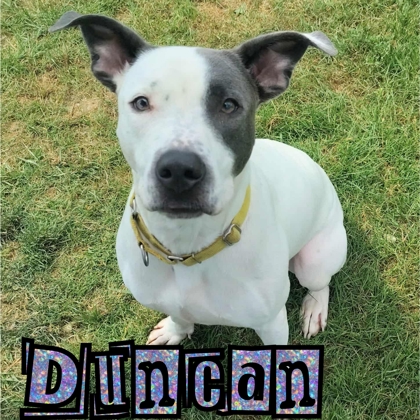 Photo of Duncan