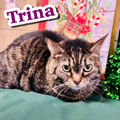 Photo of Trina