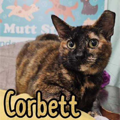 Photo of Corbett