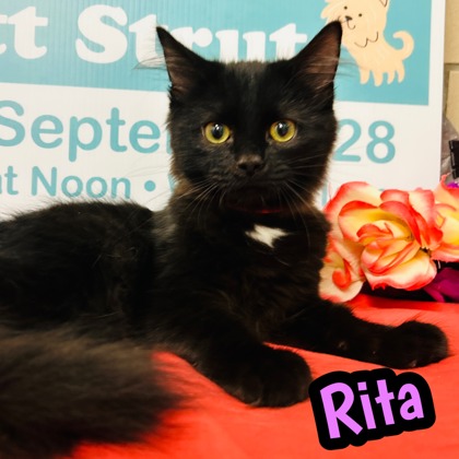 Photo of Rita