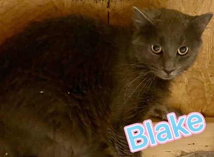 Photo of Blake