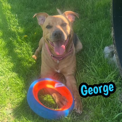 Photo of George