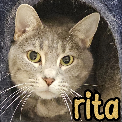 Photo of Rita