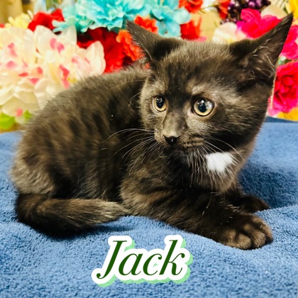 Photo of Jack