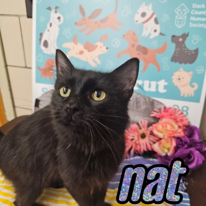Photo of Nat