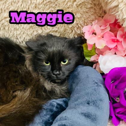 Photo of Maggie
