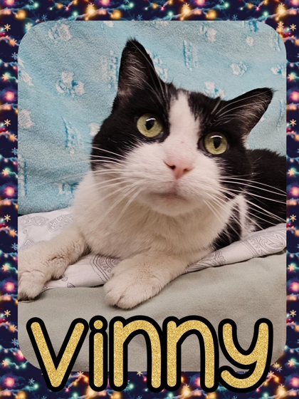 Photo of Vinny