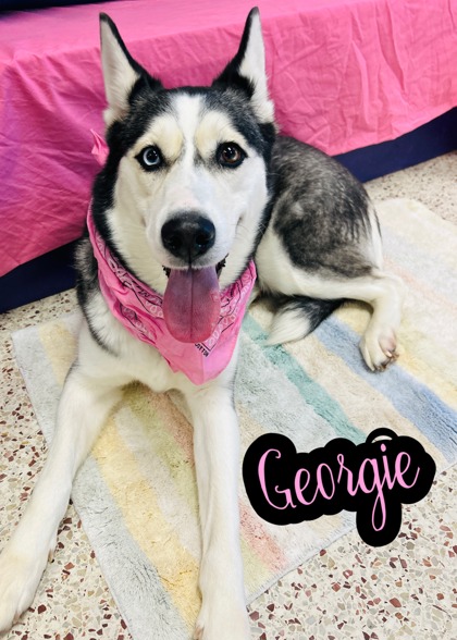 Photo of Georgie